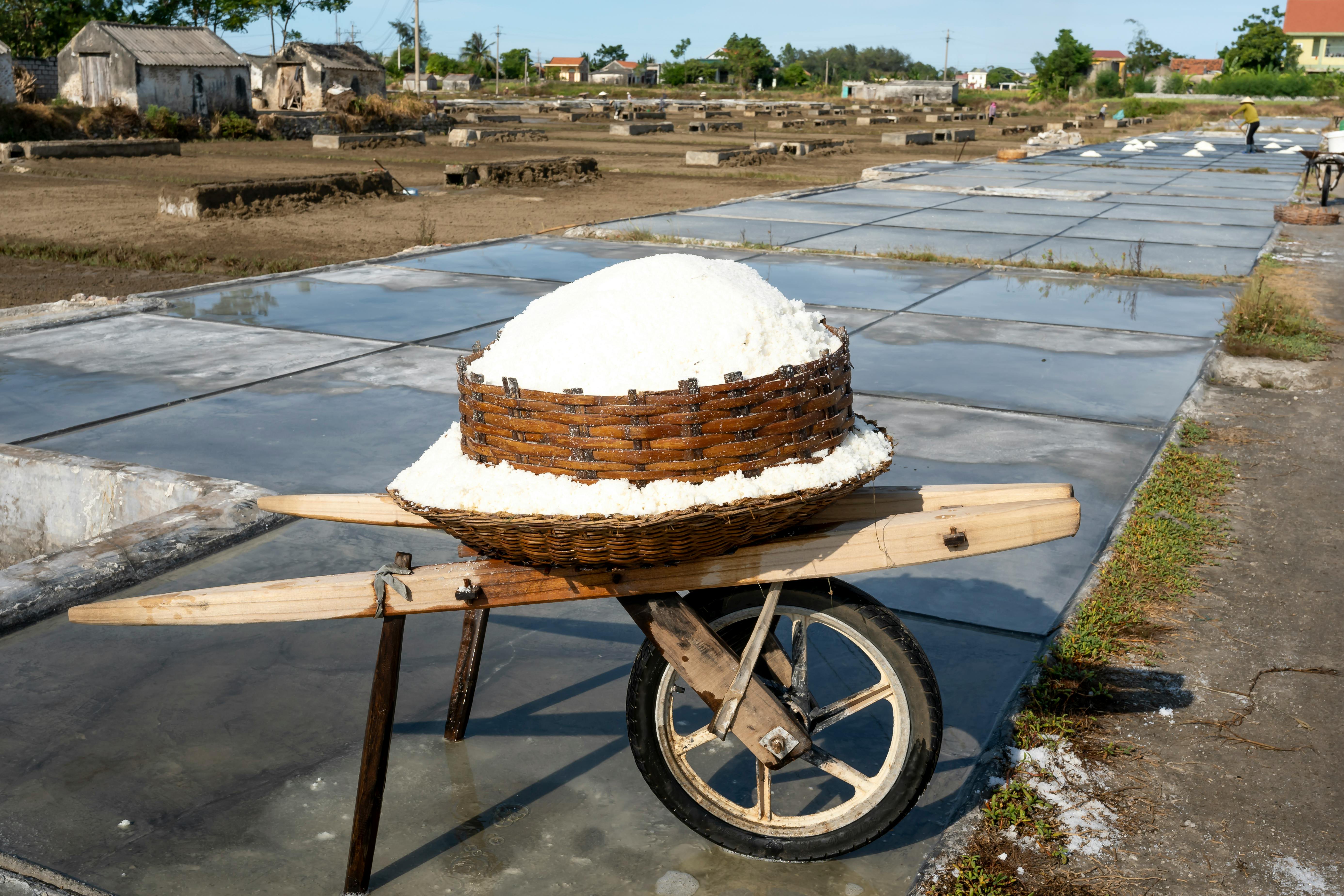 salt harvest